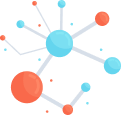 Network Connection