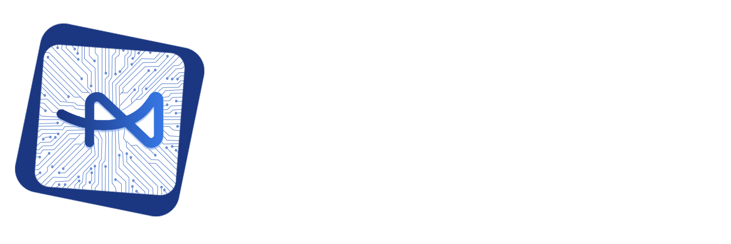 AANS Logo